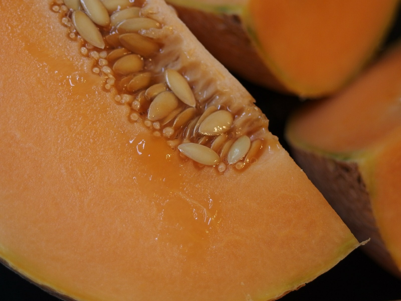 70 Day Cantaloupe! Heirloom NON-GMO 100+ seeds Free Shipping US Seller!