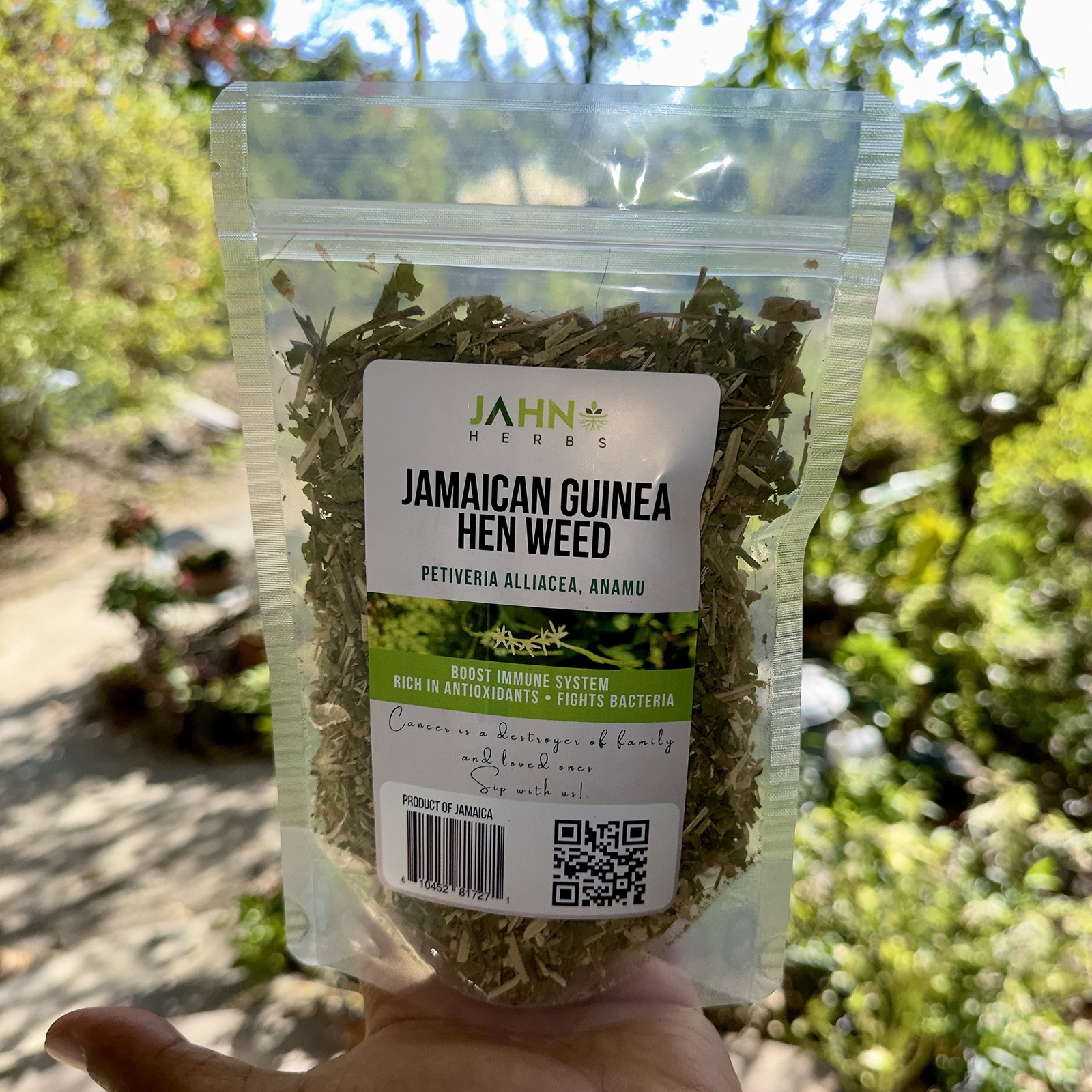 Jamaican Guinea Hen Weed Wildcrafted Anamu Herb, Leaves & Stem for Health