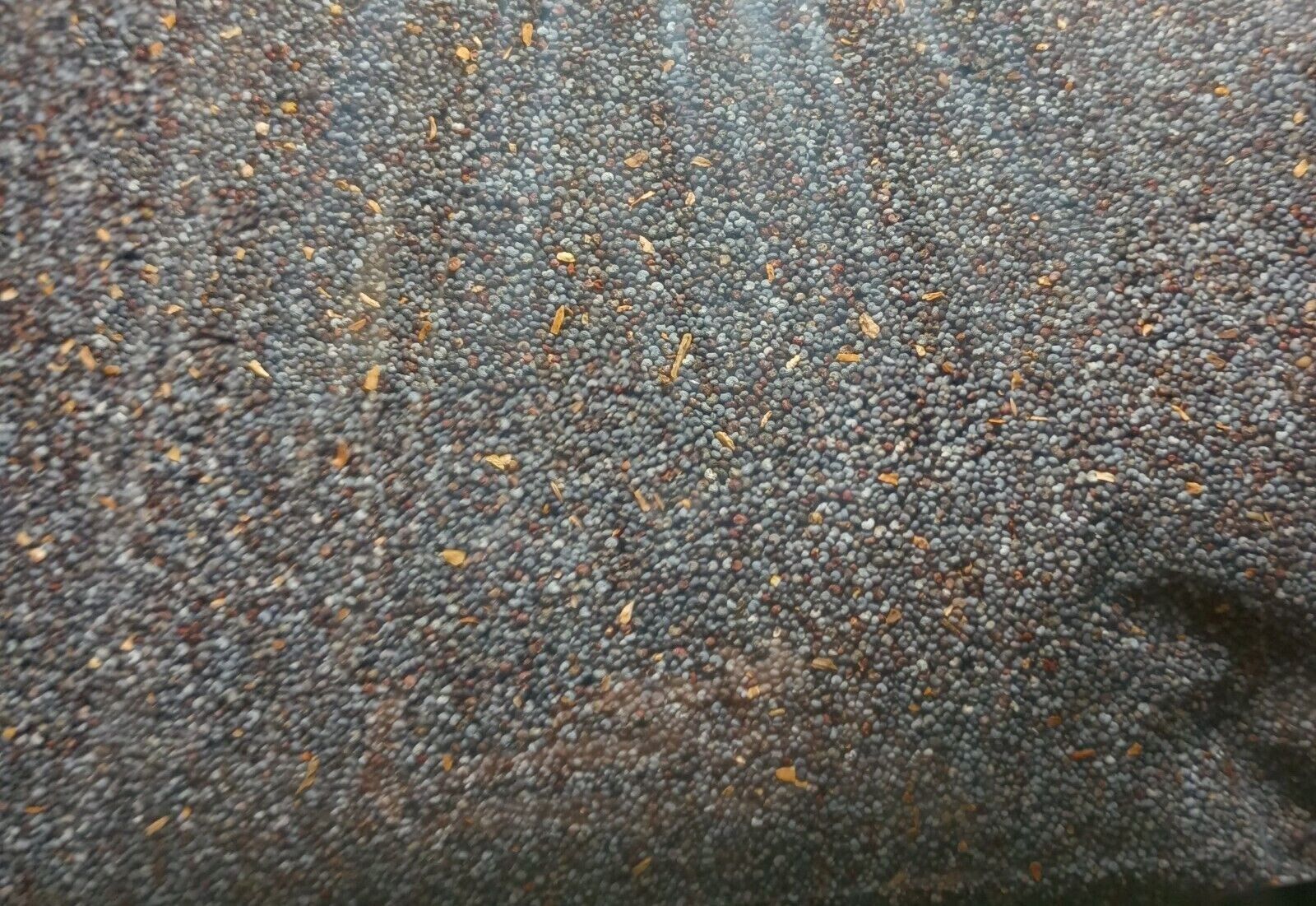 TASTY BATCH! 2 Lbs Baking Blue UK Poppy Seeds! A+ Quality! Fast SHIPPING *)