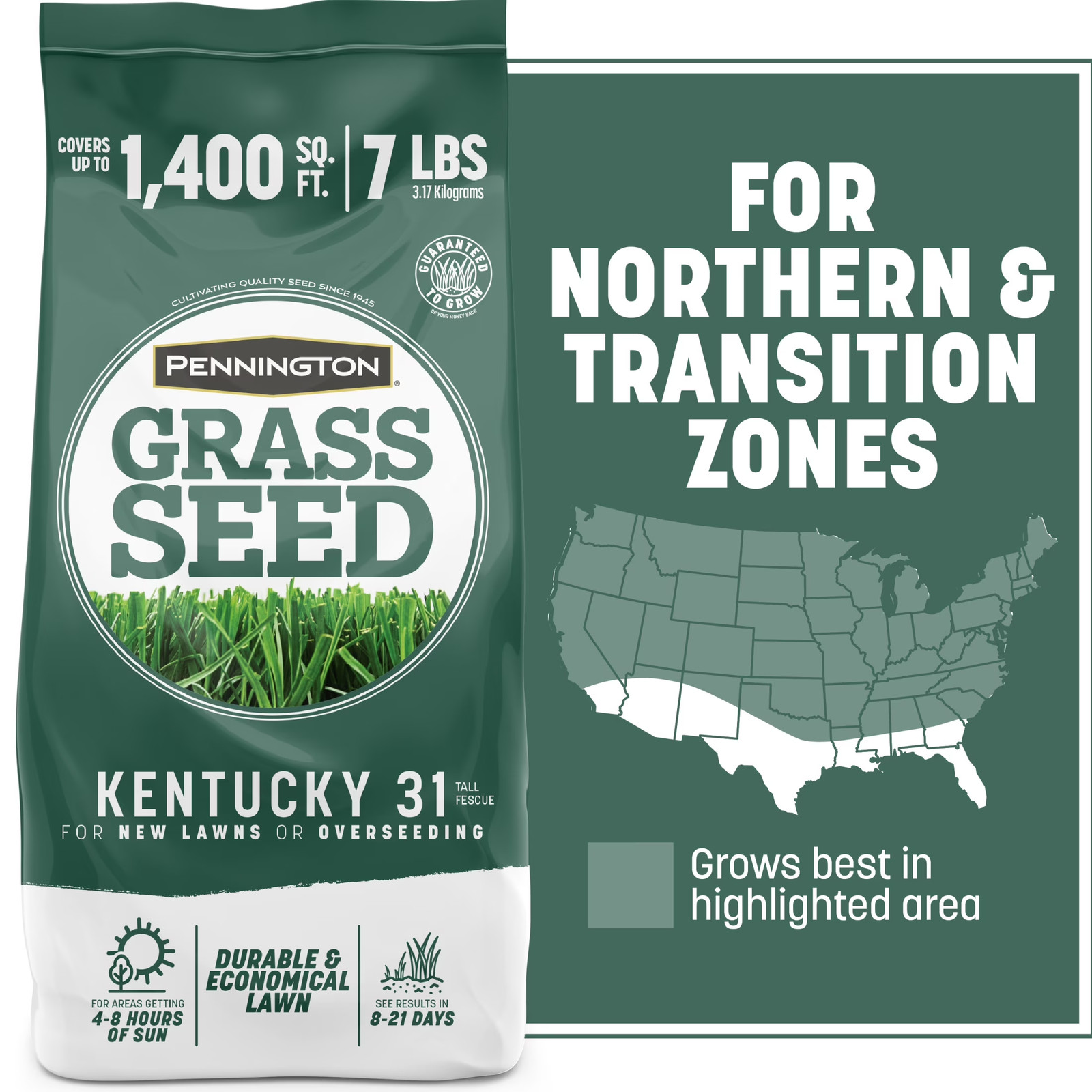Kentucky 31 Tall Fescue Grass Seeds for Lawn, for Sun to Partial Shade, 7 Lb