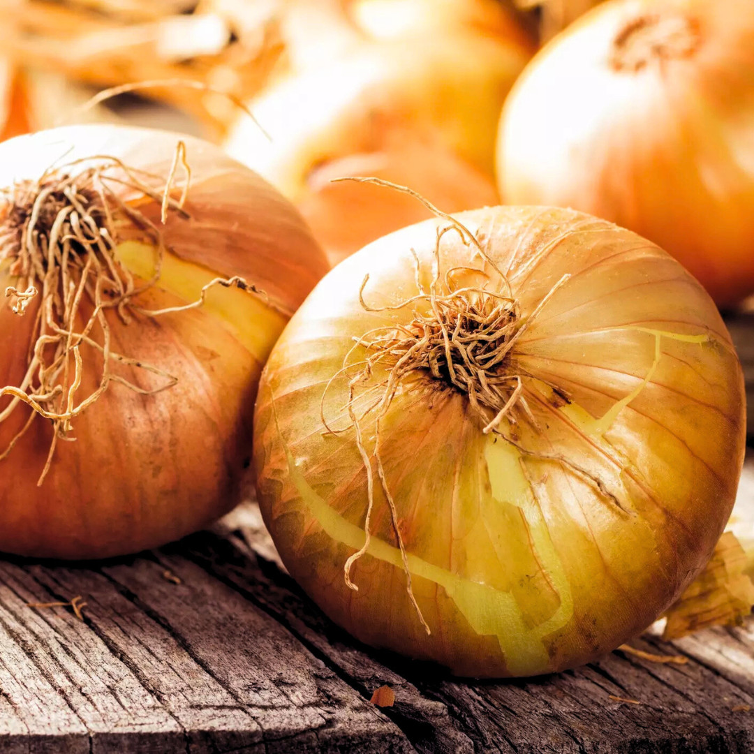 Fresh Walla Walla Onion Seeds | Sweet | Heirloom Non-GMO | Vegetable Seeds