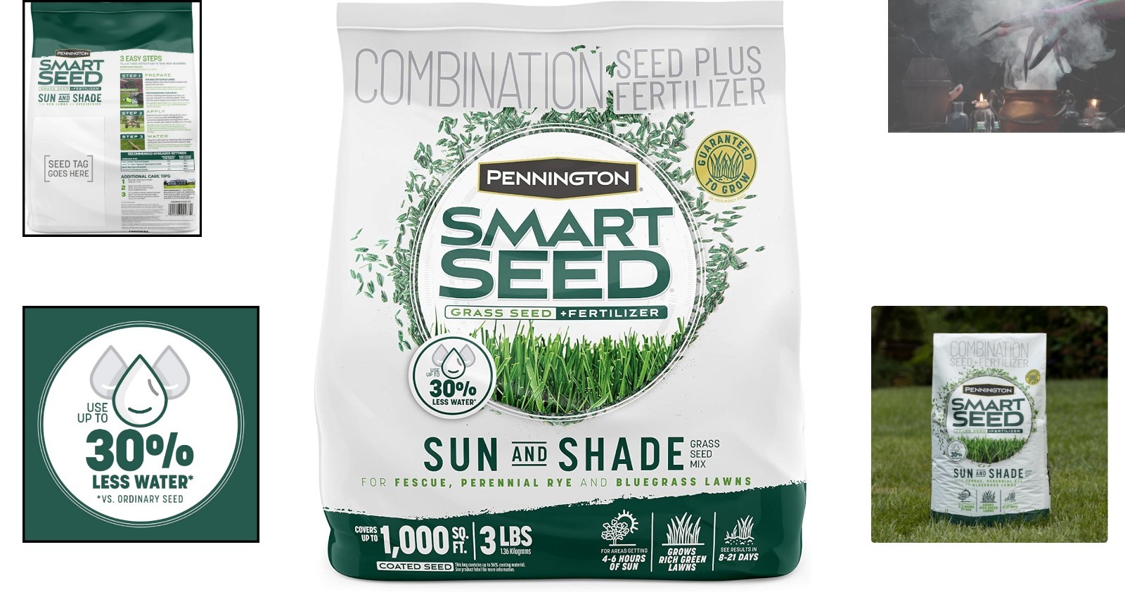3 lb Smart Seed for Sun & Shade – Fast Germination & Drought Tolerance