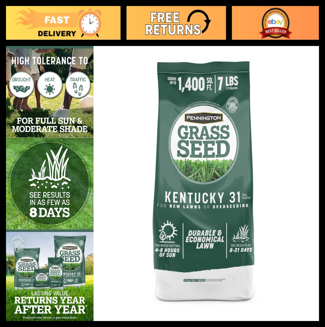 Tall Fescue Grass Seed – Kentucky 31, 7 LB – Premium Lawn Seeds for Thick Turf