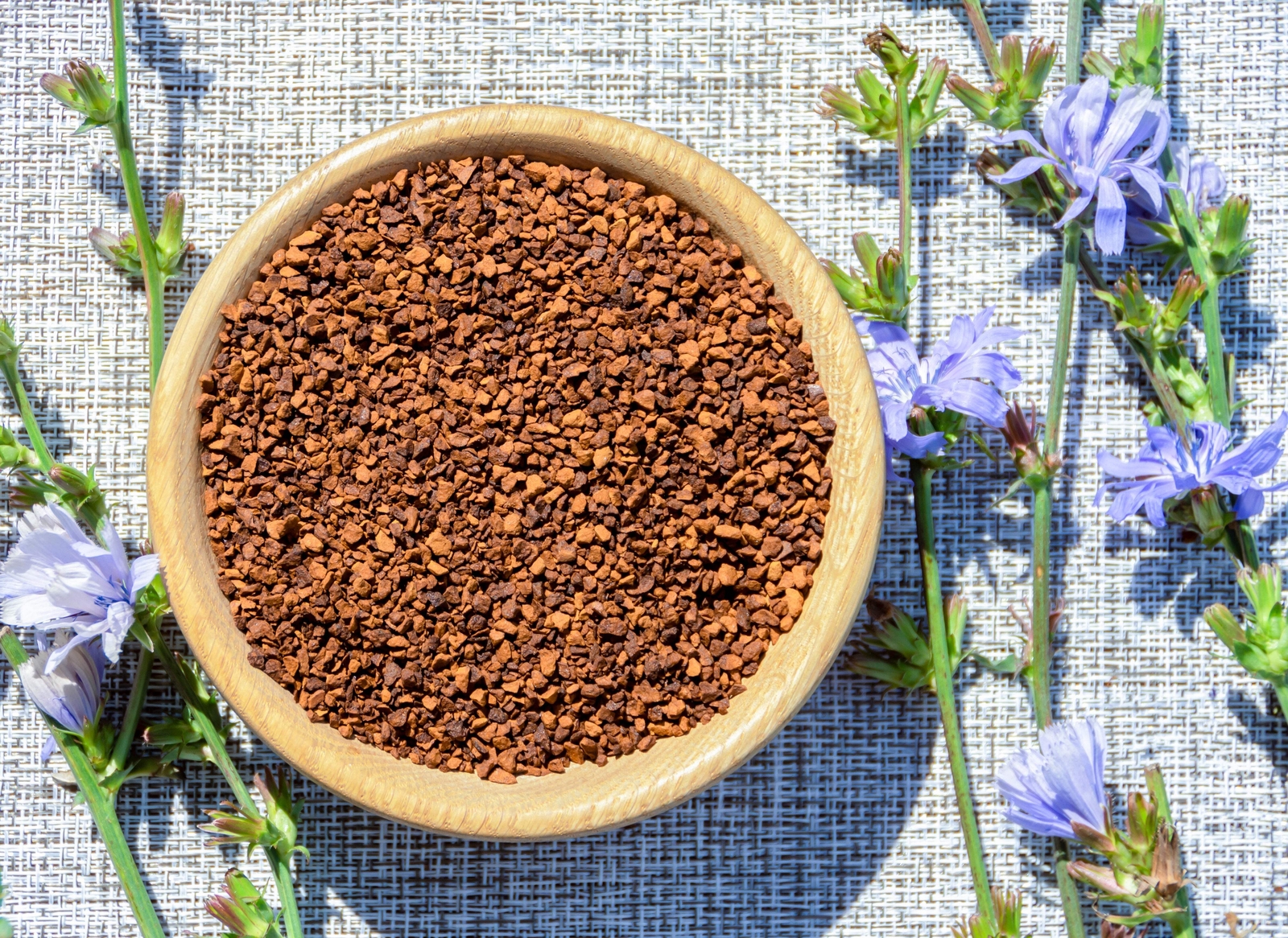 1000 CHICORY Blue Daisy Coffeeweed Succory Cicorium Intybus Flower Herb Seeds