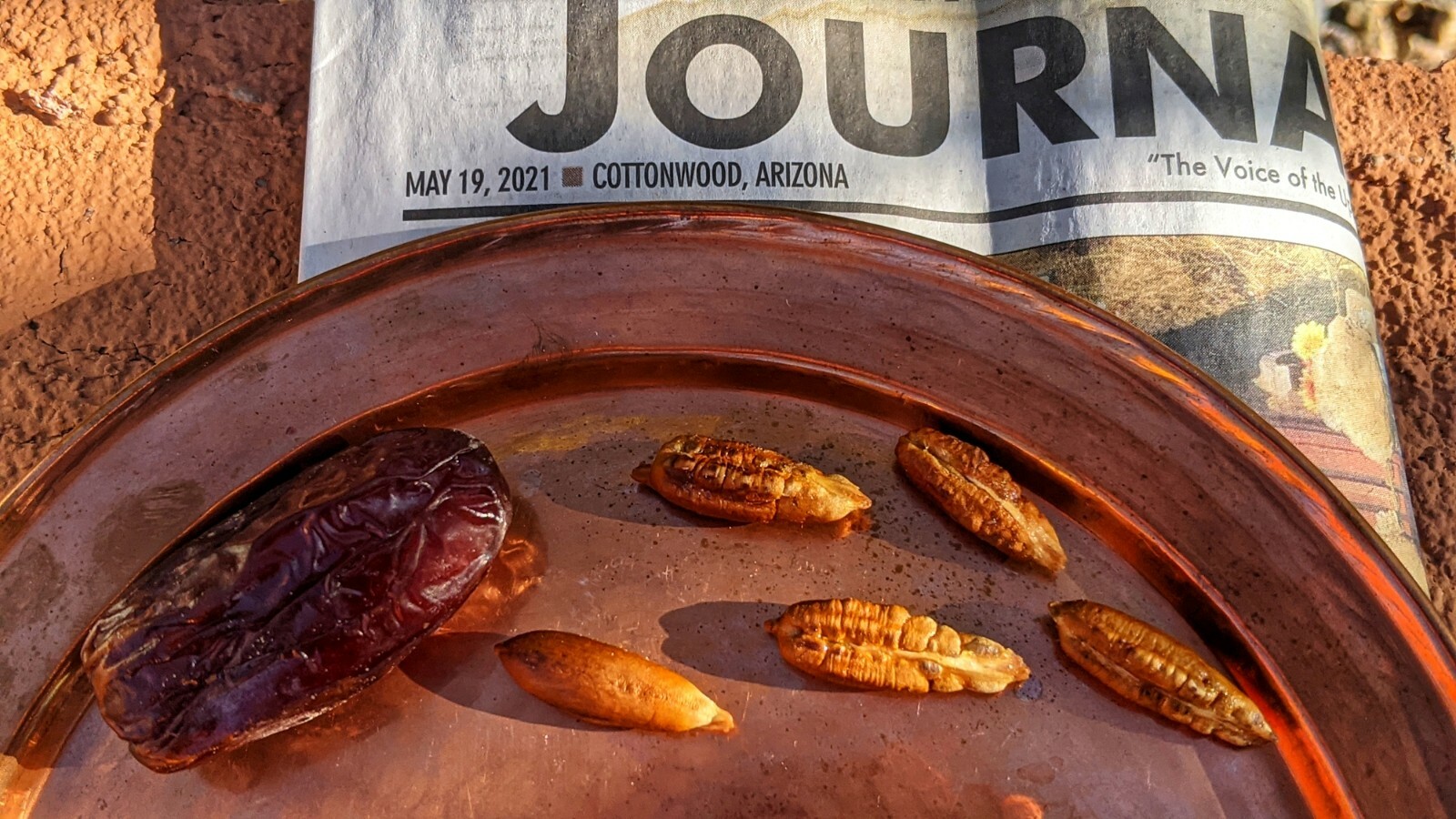 15 Medjool Date Seeds+ 5Dayri Date Palm Pits– 20Fresh SEEDS From Arizona