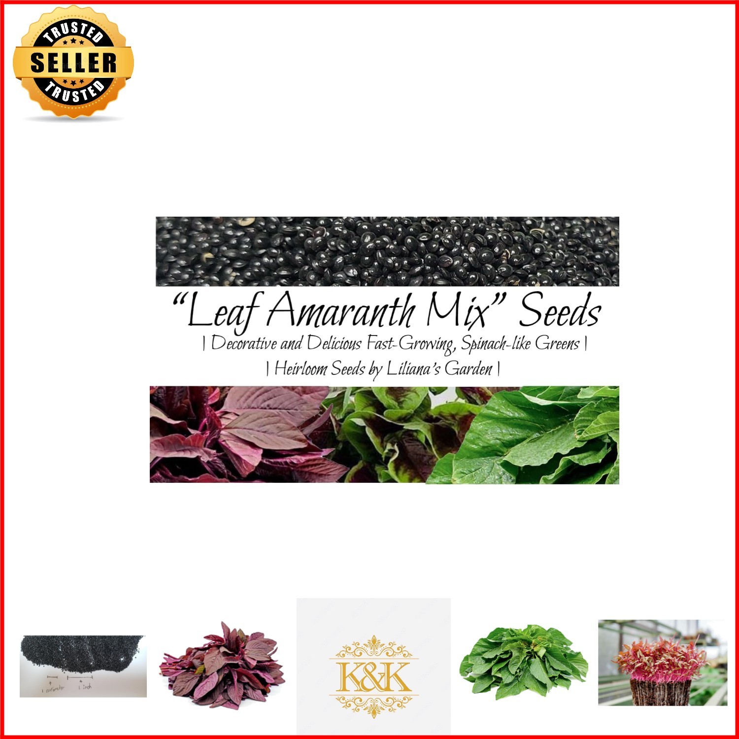 Fast-Growing Leaf Amaranth Seeds – Colorful Pet-Friendly Greens for Containers