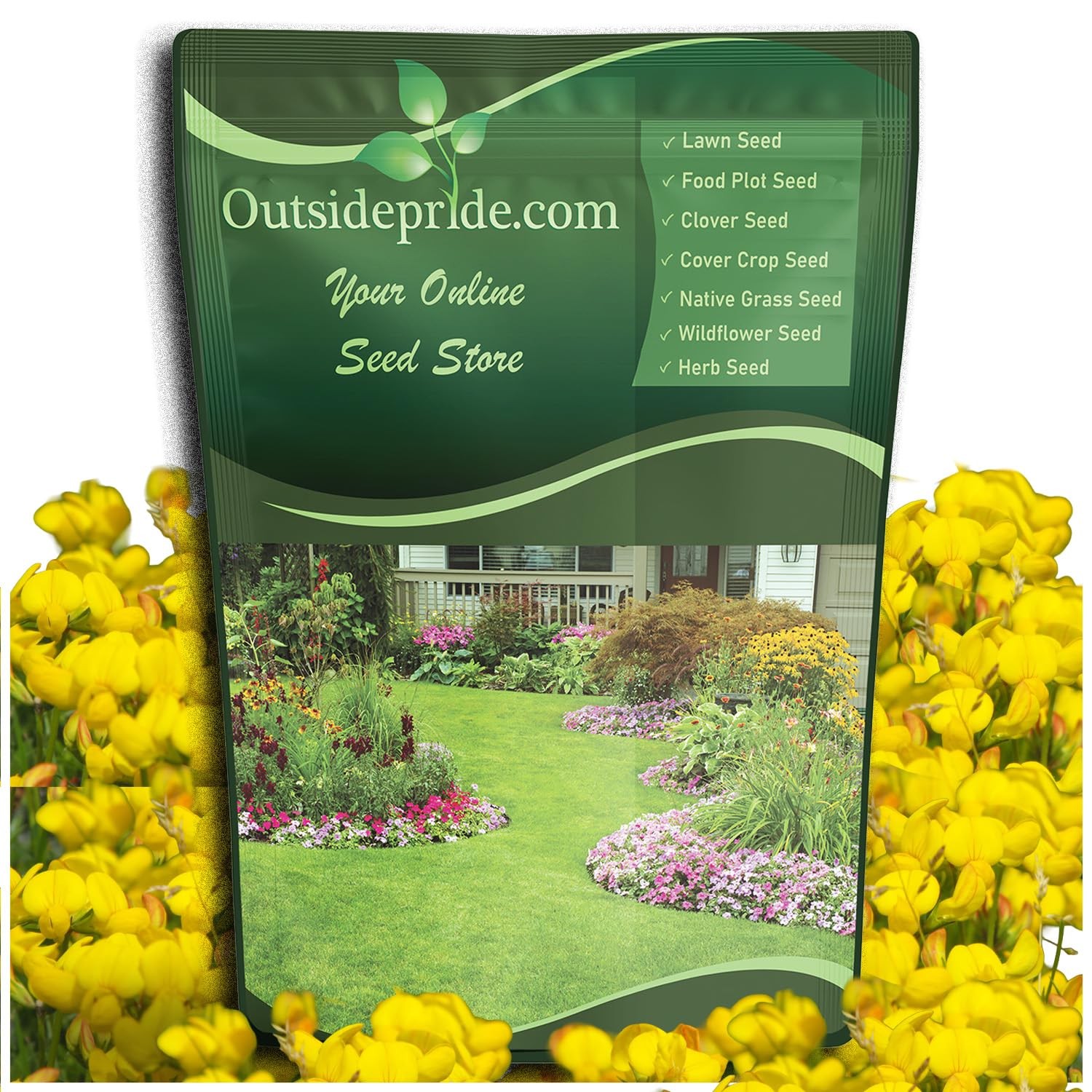 Perennial Birdsfoot Trefoil Seed 1 lb Nitrocoated Winter Hardy Forage Legume