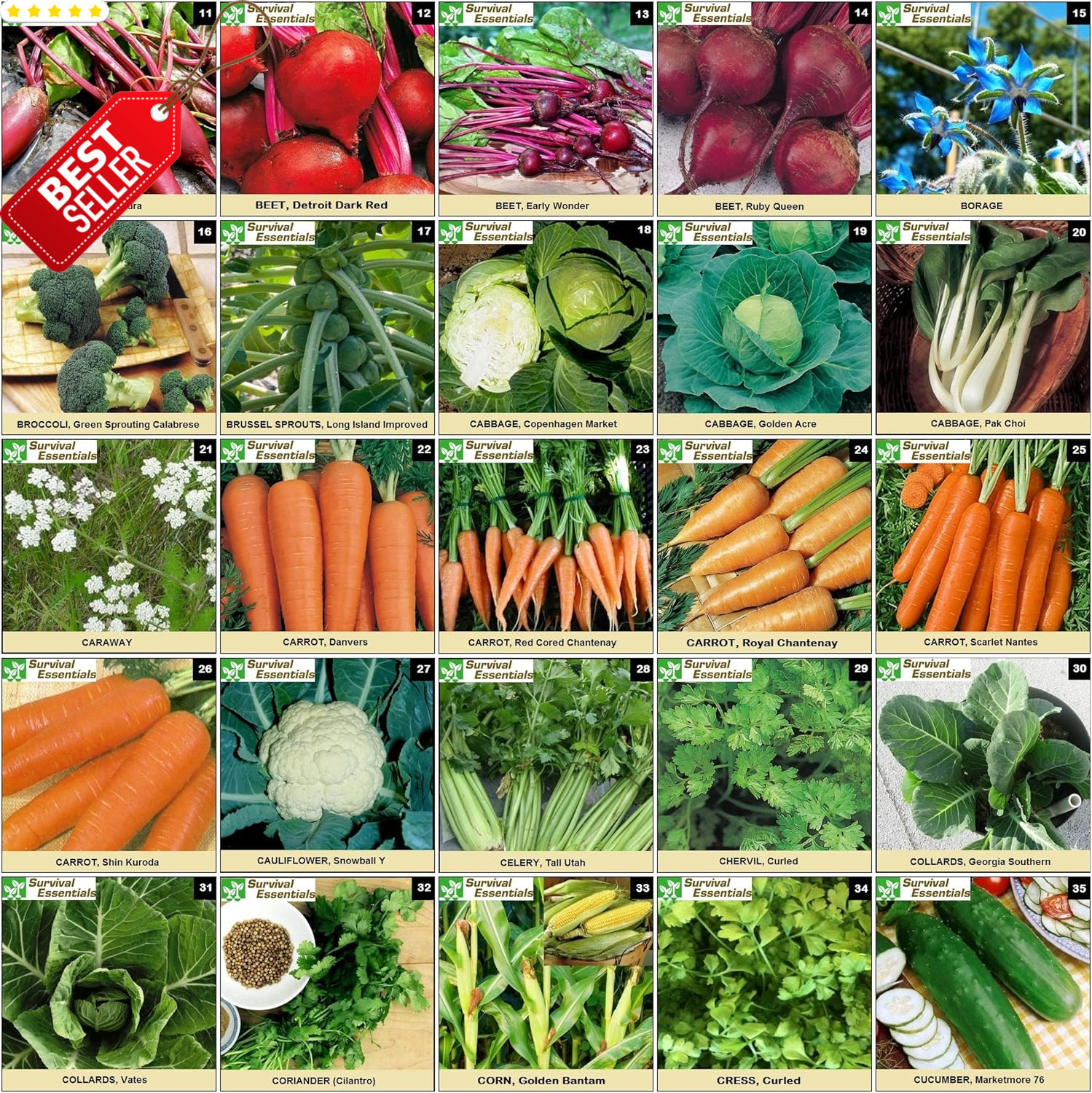 Heirloom Seeds 135 Variety Vegetable Fruit Herb Non-GMO Planting Kit US