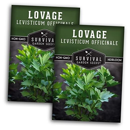 – Lovage Seed for Planting – Packs with Instructions to Plant and Grow 2