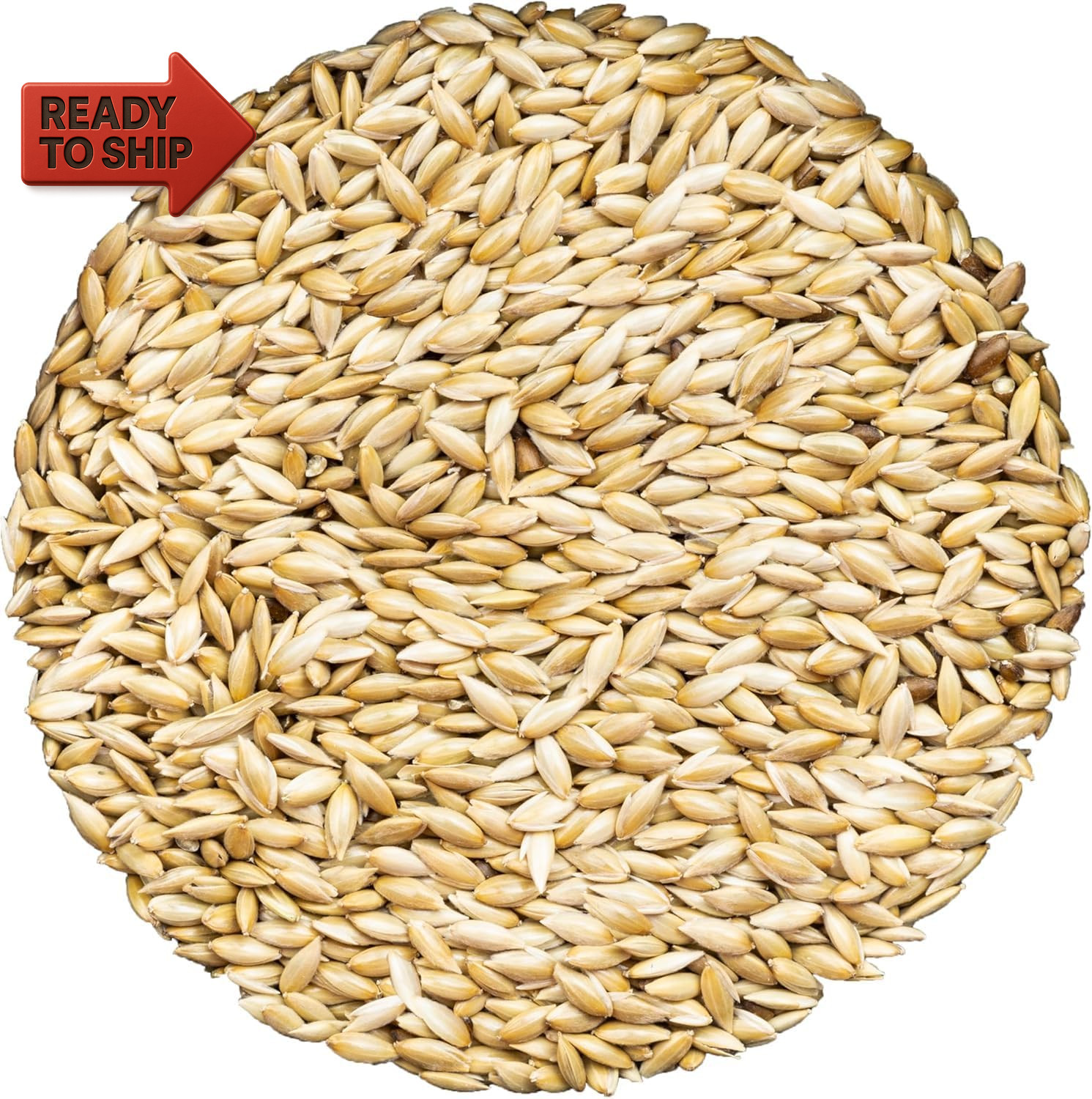 Unida Alpiste Canary Seed | 100% Pure, Natural & Non-Gmo Bird Food for Canaries