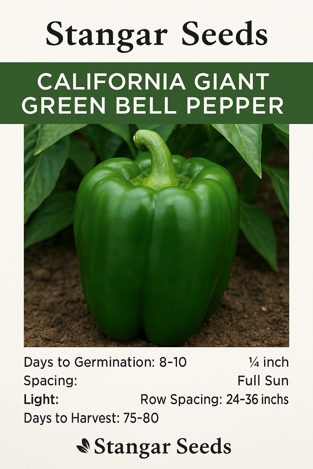 California Giant Green Bell Pepper Seeds
