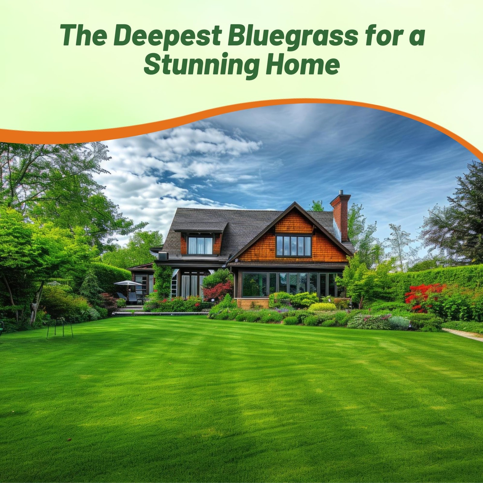 Midnight Kentucky Bluegrass – 10 Lbs. Cold & Drought Tolerant, Sun-Loving Law…
