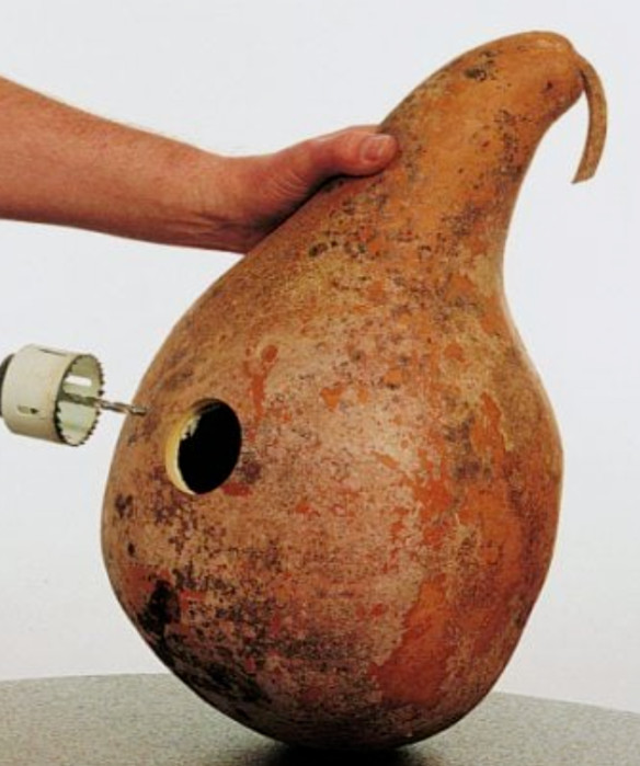 Gourd BIRDHOUSE MIX Martinhouse, Birdhouse, Speckled Swan DIY 3 Packs=50 Seeds!