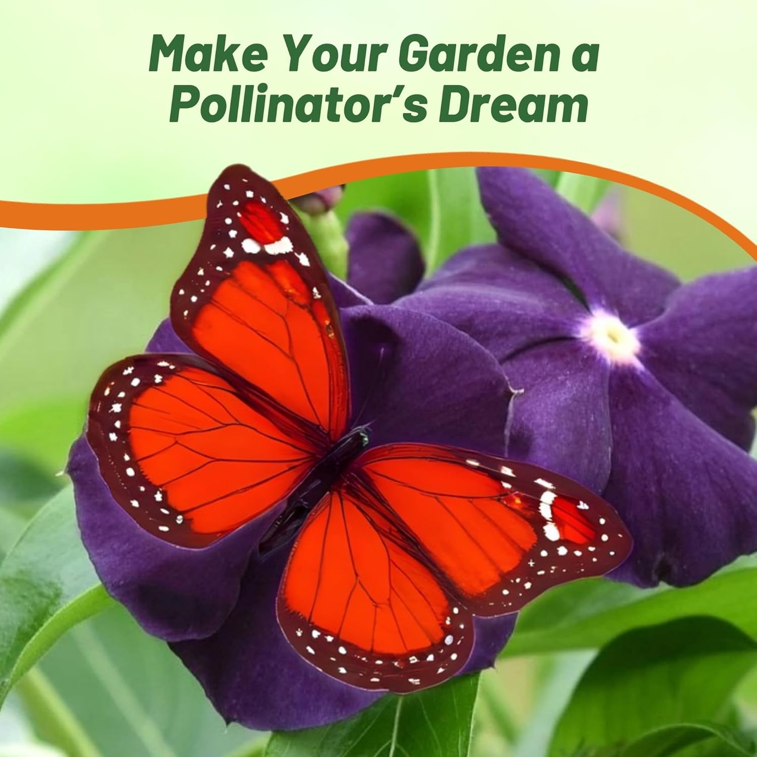 100 Seeds Dark Purple Periwinkle Vinca Seeds For Planting – Flower Seeds