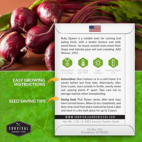 Ruby Queen Beet Seeds for Planting – Deep Red Beets for Garden Growing 1