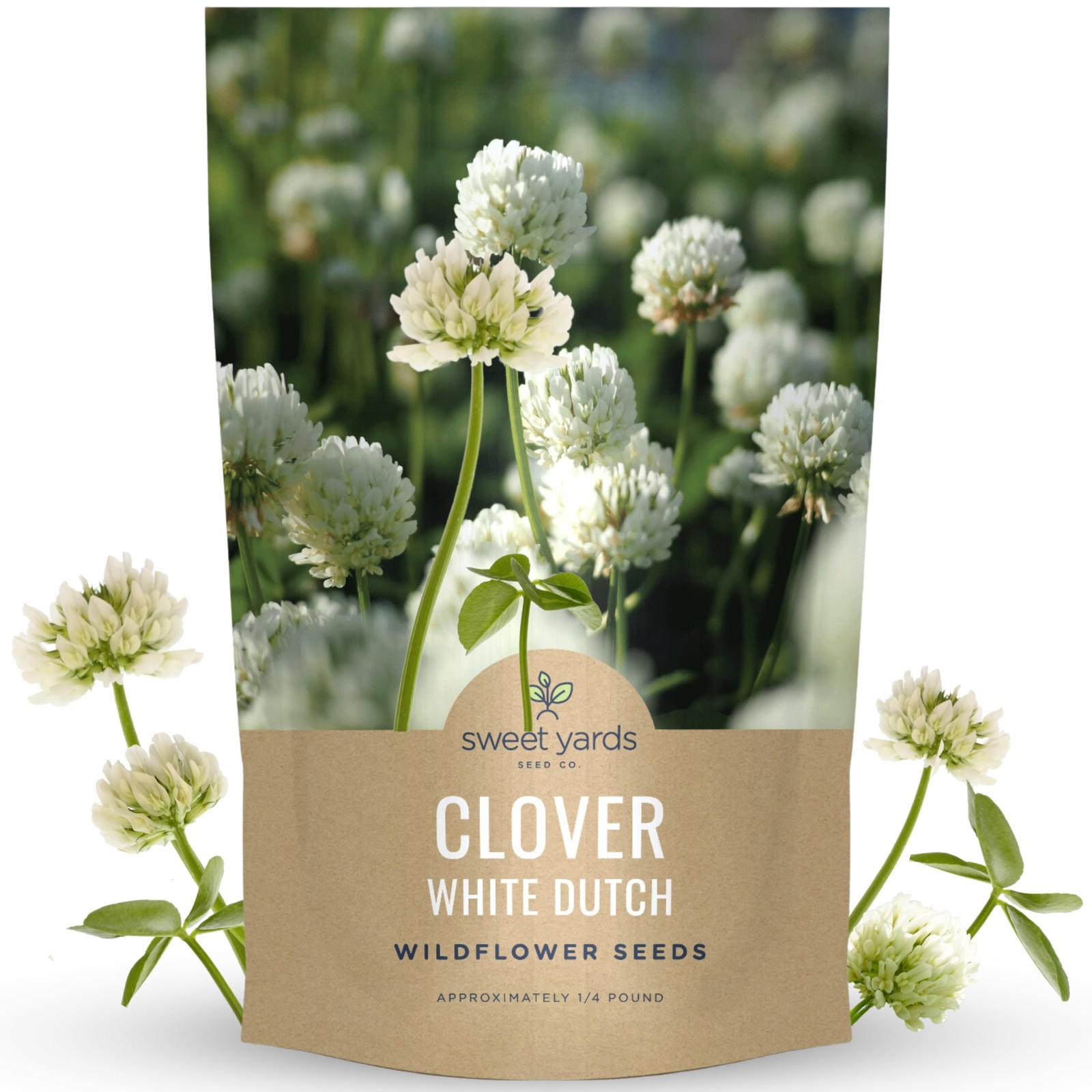 Bulk White Dutch Clover Seeds – 150,000 Flower Seeds for Planting