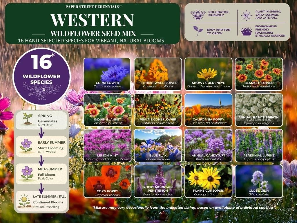 Utah Wildflower Seed Mix, 1/4 lb Covers 800 sq ft, Multi-Color Perennial and …