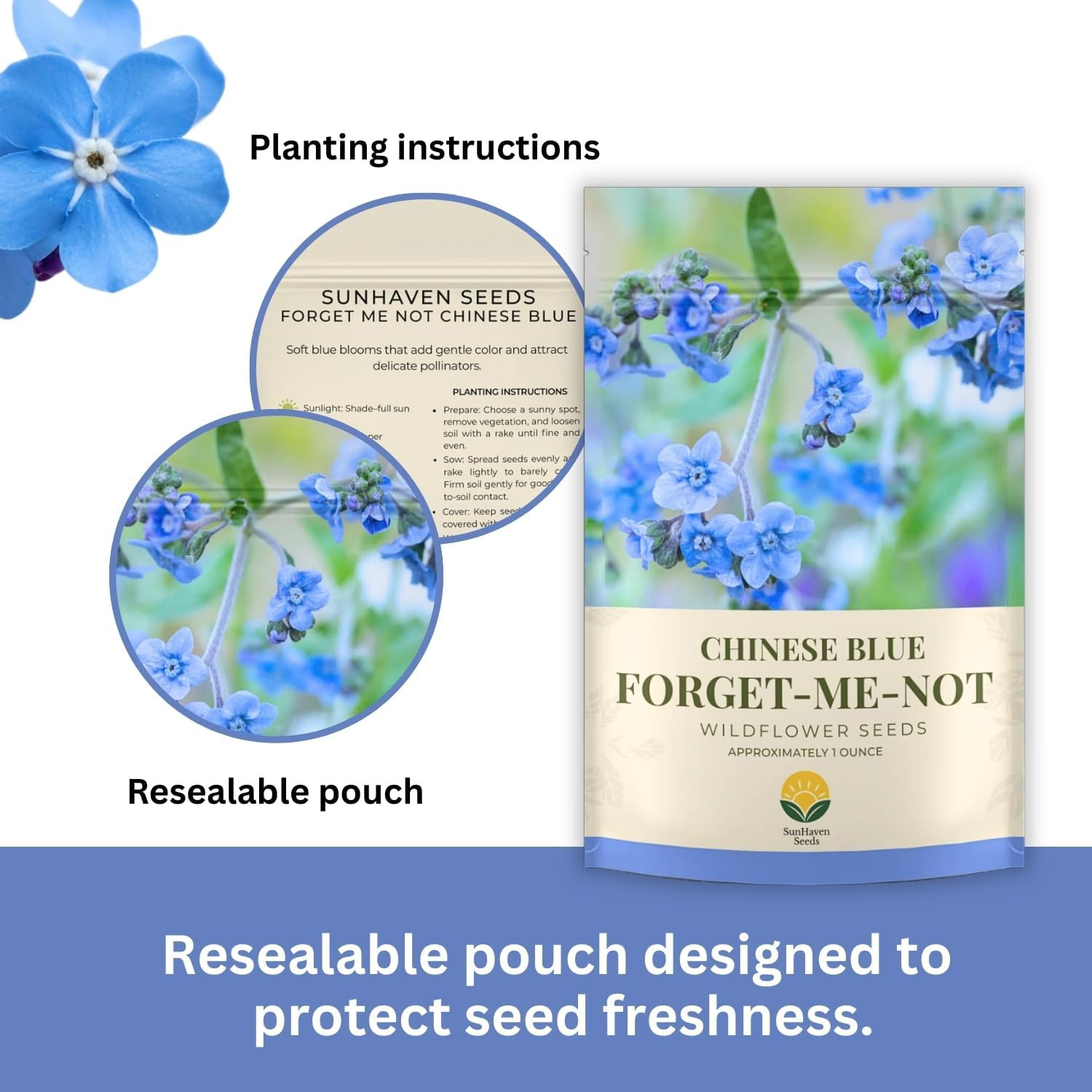 Forget-Me-Not Seeds (Chinese Blue) – 5,000+ Seeds – 1 Oz Bulk Extra Large Packet