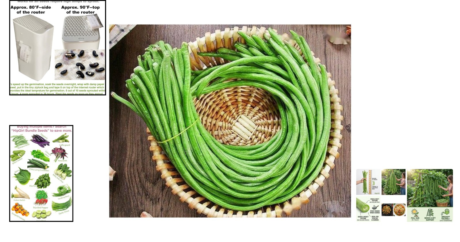 Space-Saving Non-GMO Yard Long Bean Seeds – Ideal for Containers & Trellises