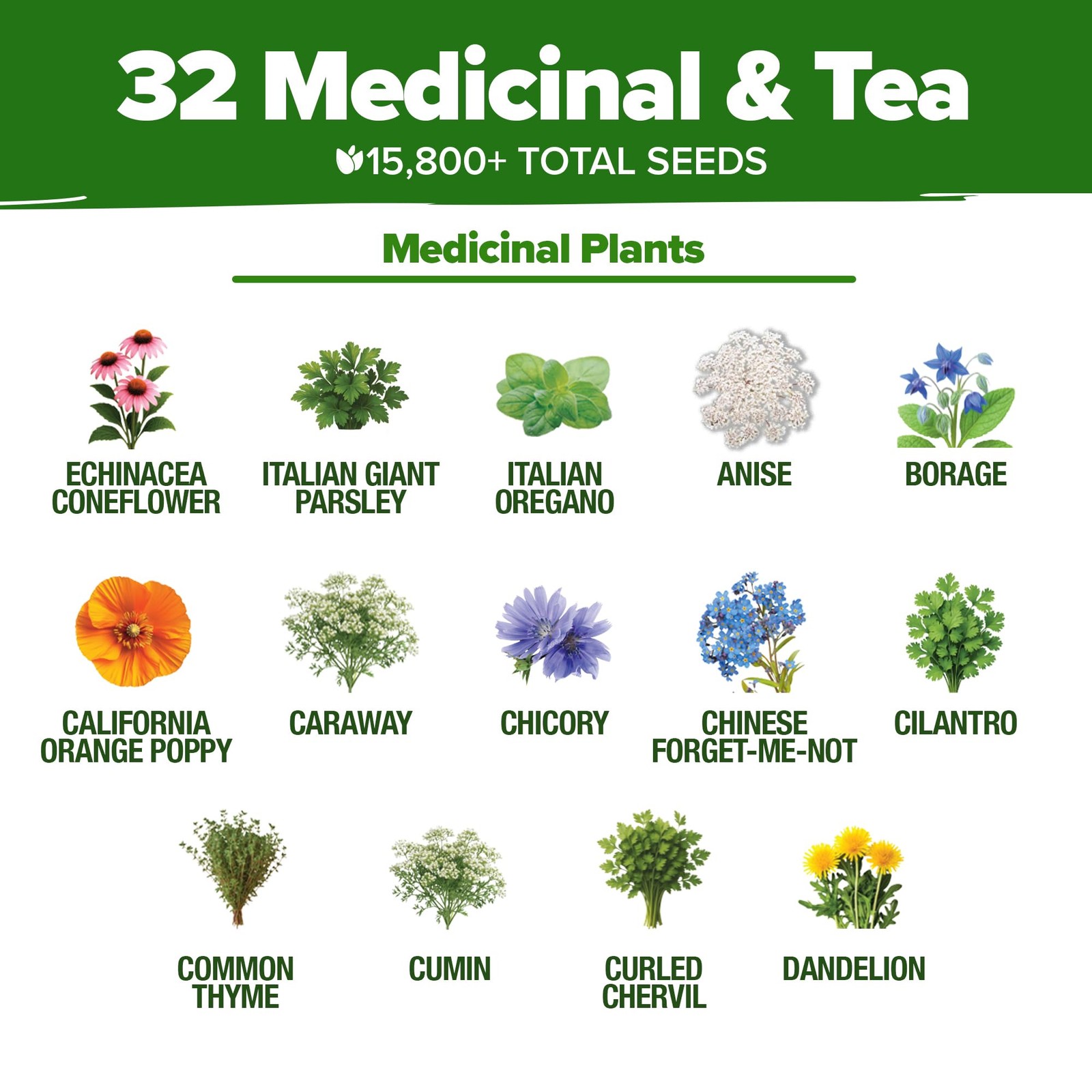 Herb Seeds 32 Medicinal Herbs and Tea Variety Pack – Annual & Perennial Herb …