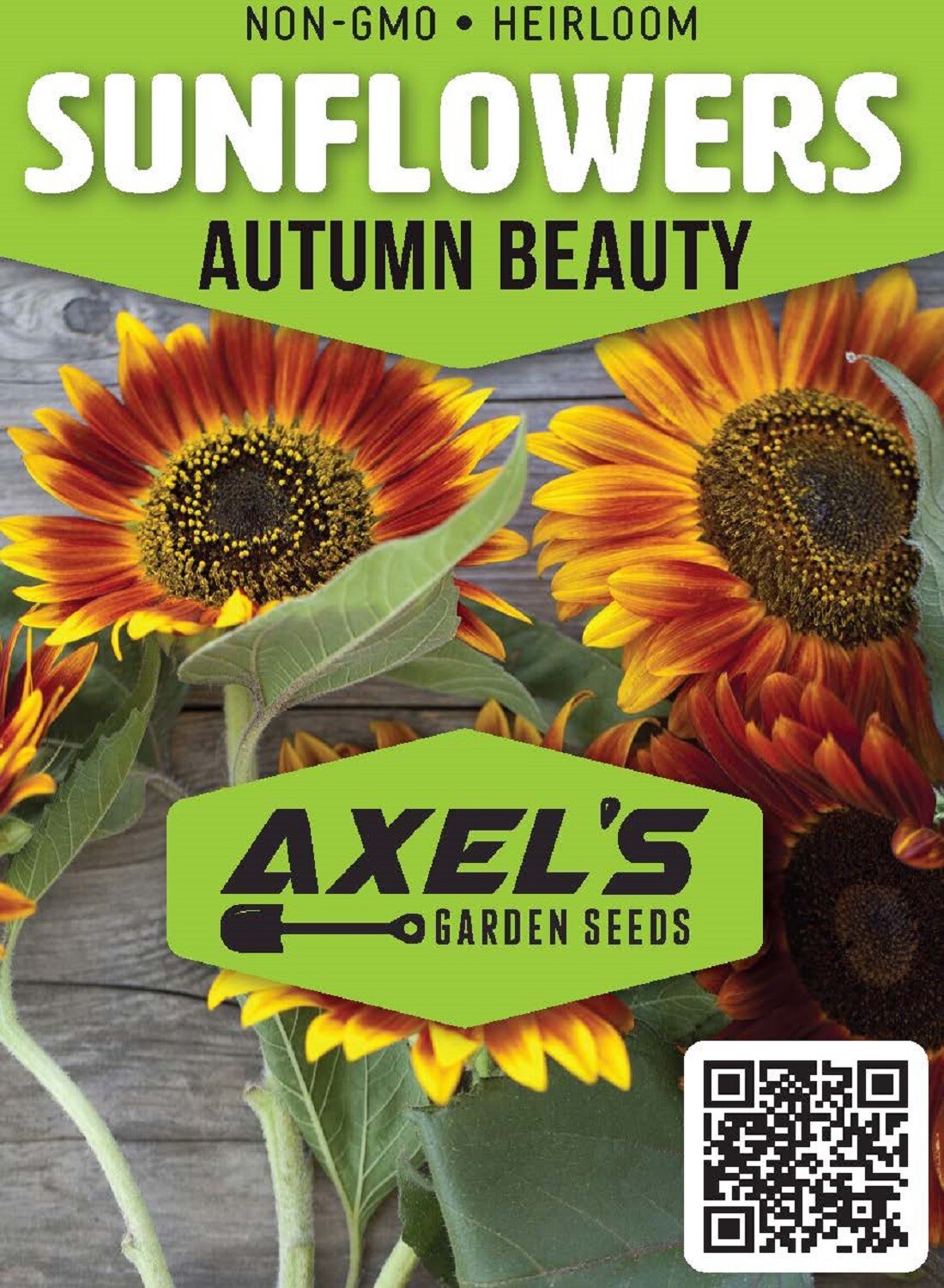 Bulk Sunflower Seeds for Planting – Heirloom NonGmo Flower Seeds for Home Garden