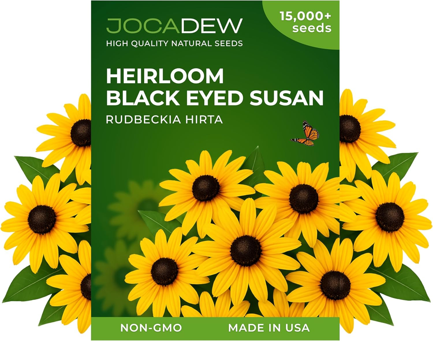 Black Eyed Susan Seeds 15000 Seeds – Rudbeckia Hirta Non GMO – Wildflower Seeds