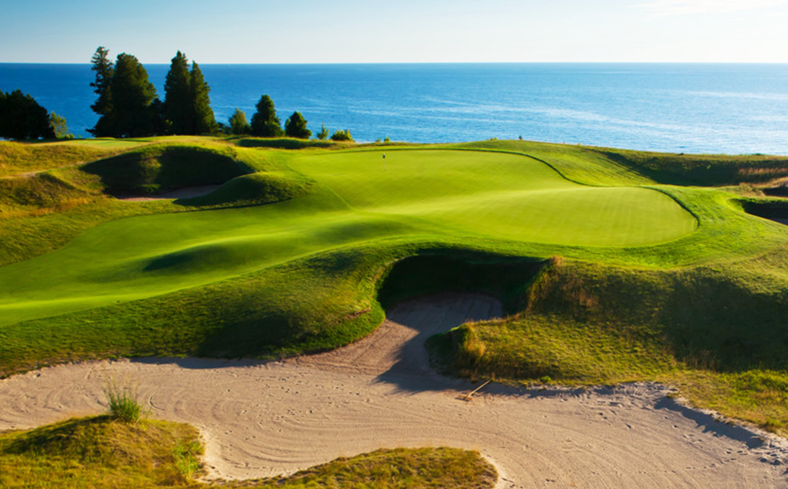 007 Creeping Bentgrass Seed 40,000 seeds