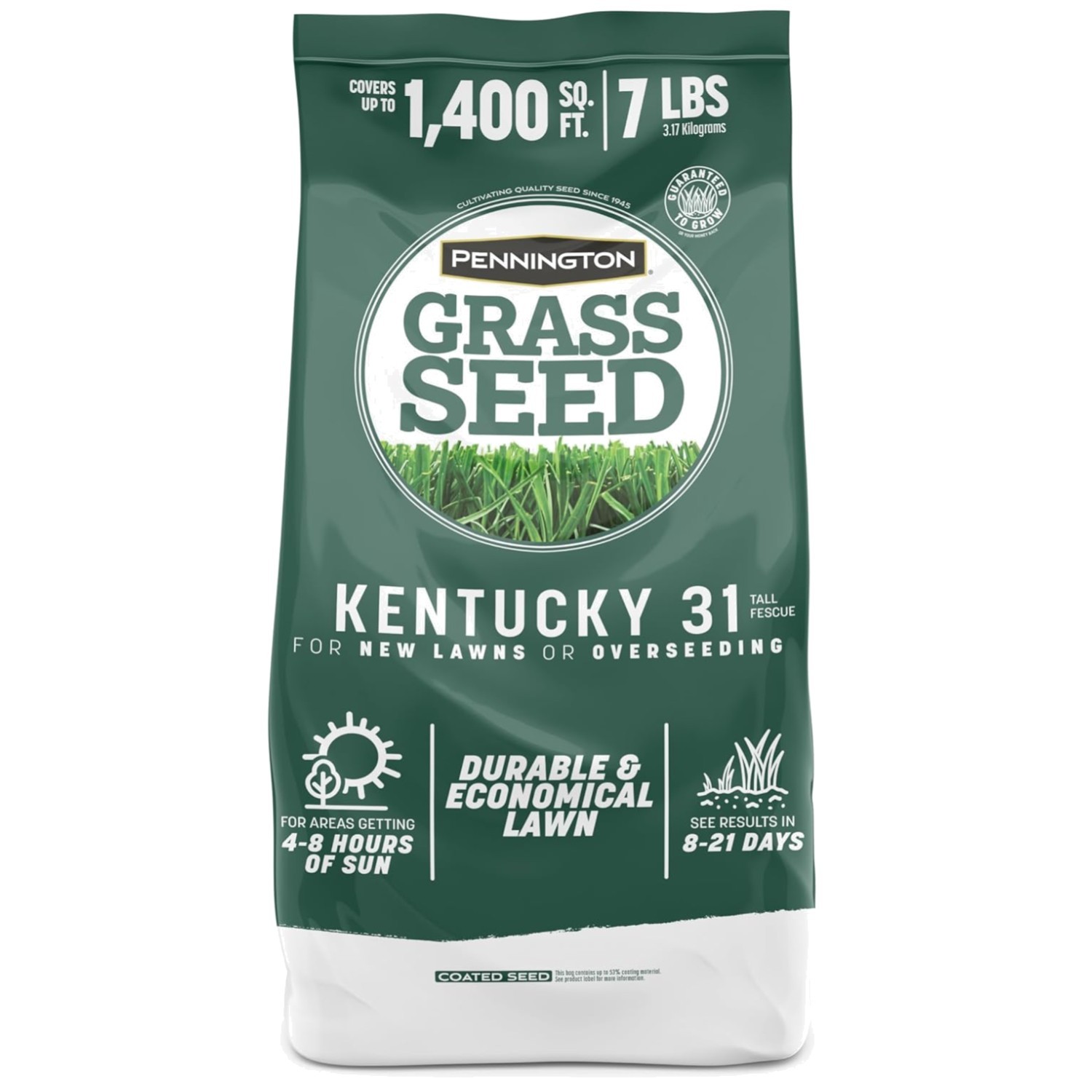 Drought-Resistant Fescue Grass Seed – 8 Hours Sunlight