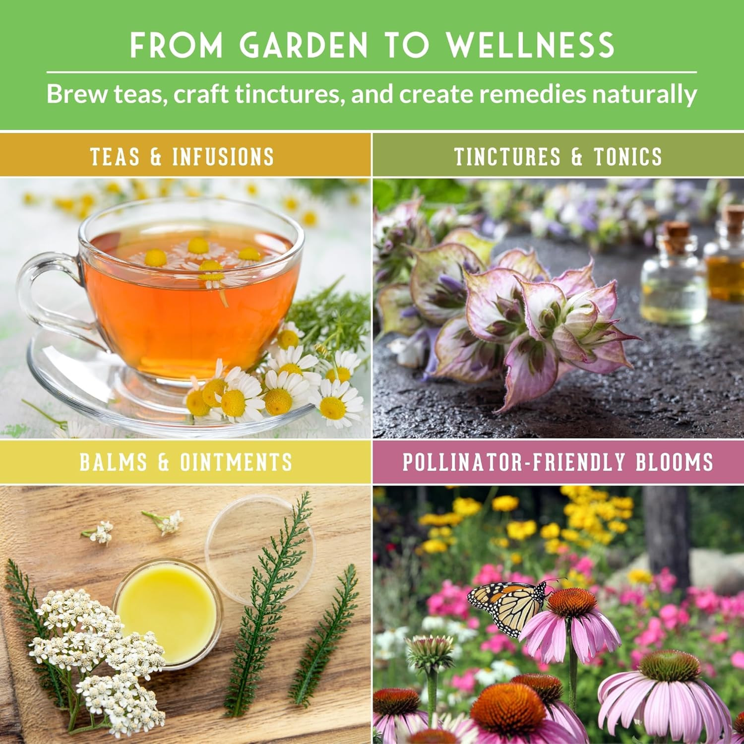 Ultimate Medicinal Herb Seeds Variety Pack – 36 Heirloom Non-Gmo Healing Herbs f