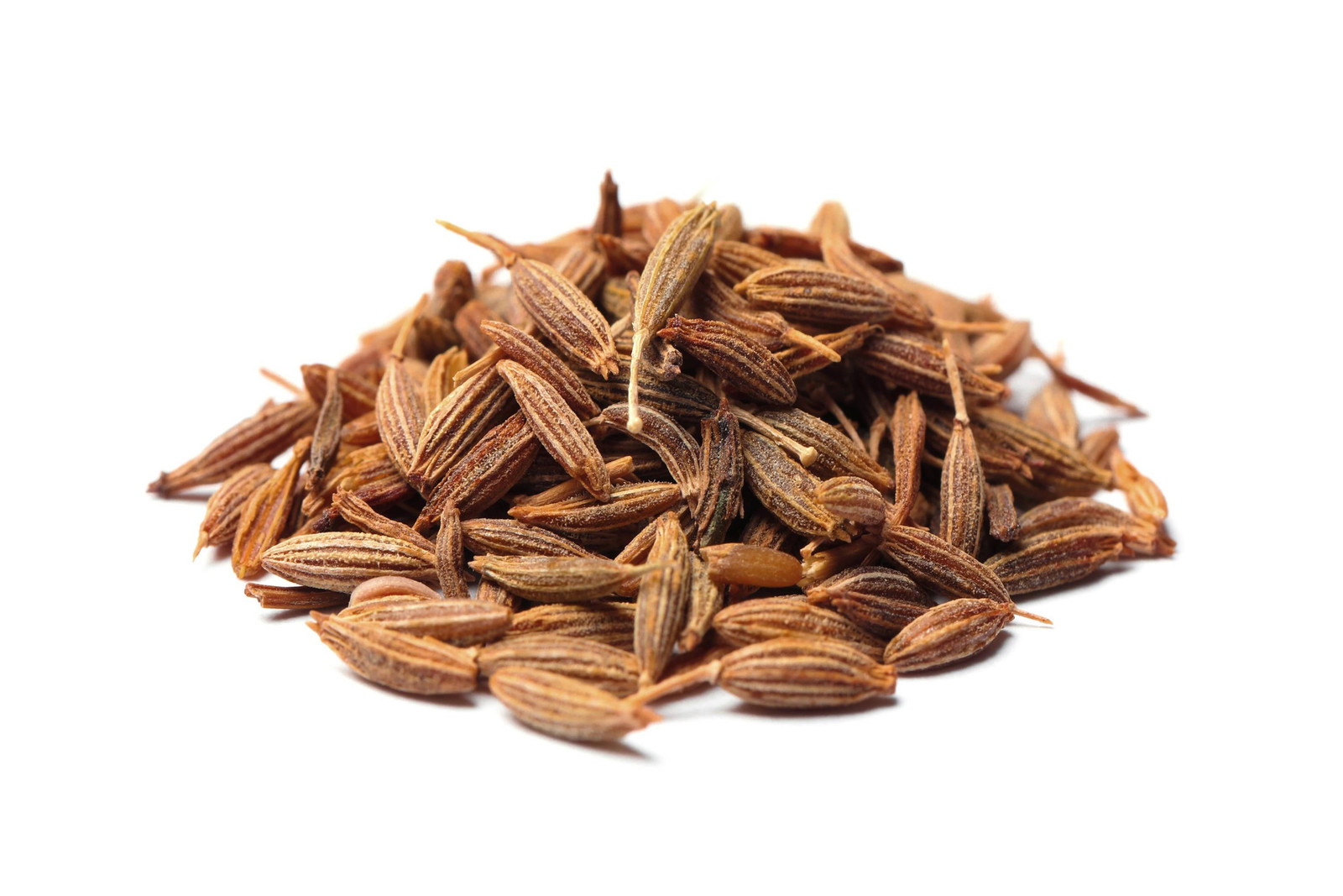 Caraway Seeds for Growing, Non-GMO, With Tracking, Culinary Herb Seeds, Urban