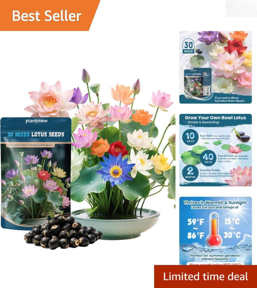 Heirloom Quality Mixed Lotus Seeds – 30 PCS for Outdoor and Indoor Elegance