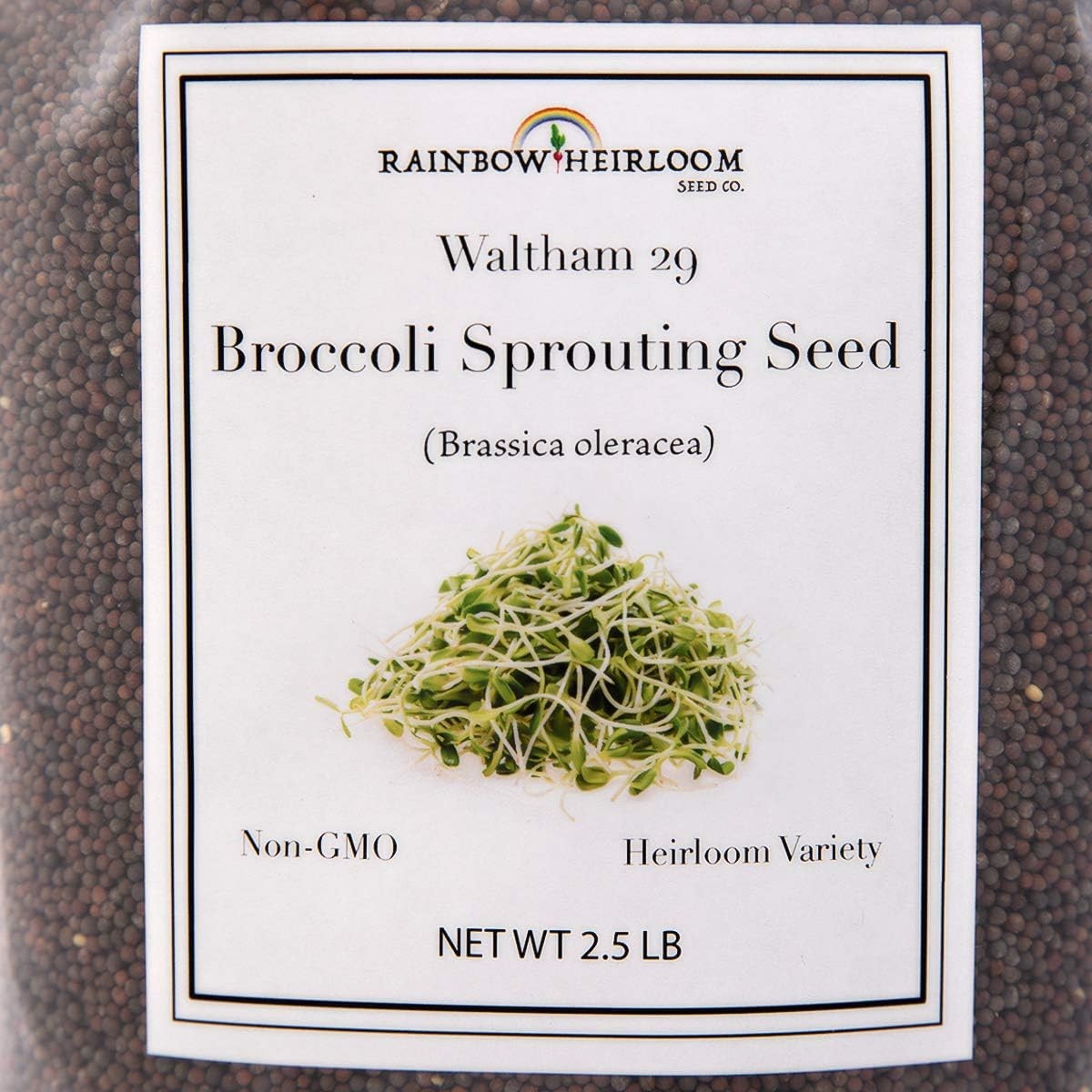 Nutrient-Rich Waltham 29 Broccoli Seeds for -Round Indoor Gardening – 40 oz
