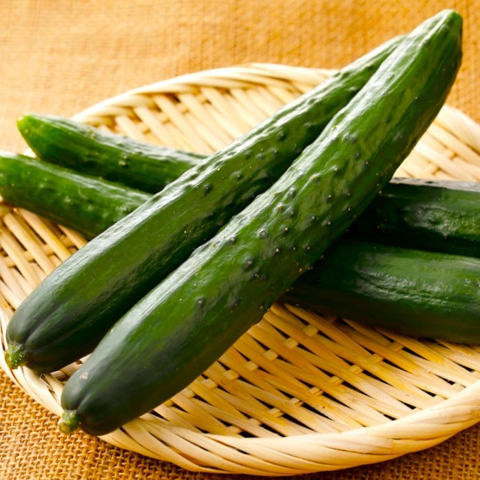 25+ Japanese Long Burpless Cucumber Seeds — Heirloom — NON GMO