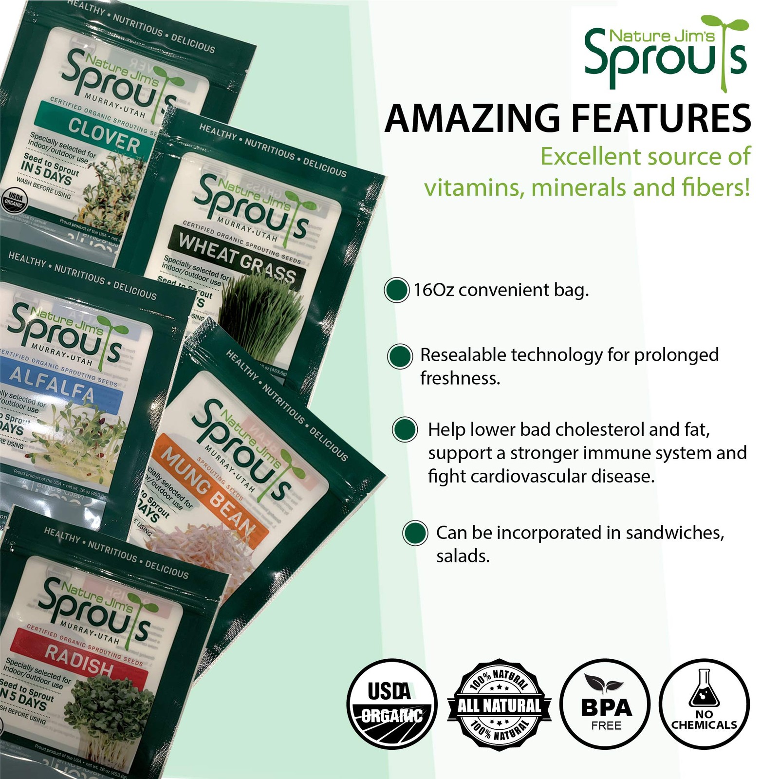 Sunflower Seeds organic for Sprouting Non-GMO Premium Seeds
