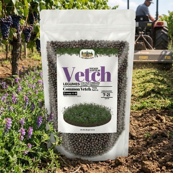 Old Cobblers Farm™ Wicked Tuff Turf Common Vetch Seed – Quick Green Cover
