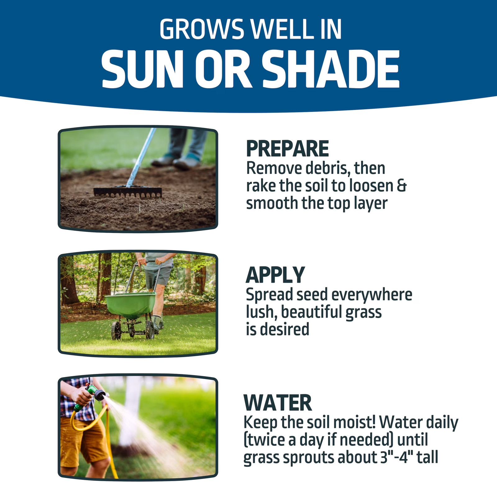 Sun & Shade Northern Grass Seed Mix, for Sun to Partial Shade, 3 Lb.