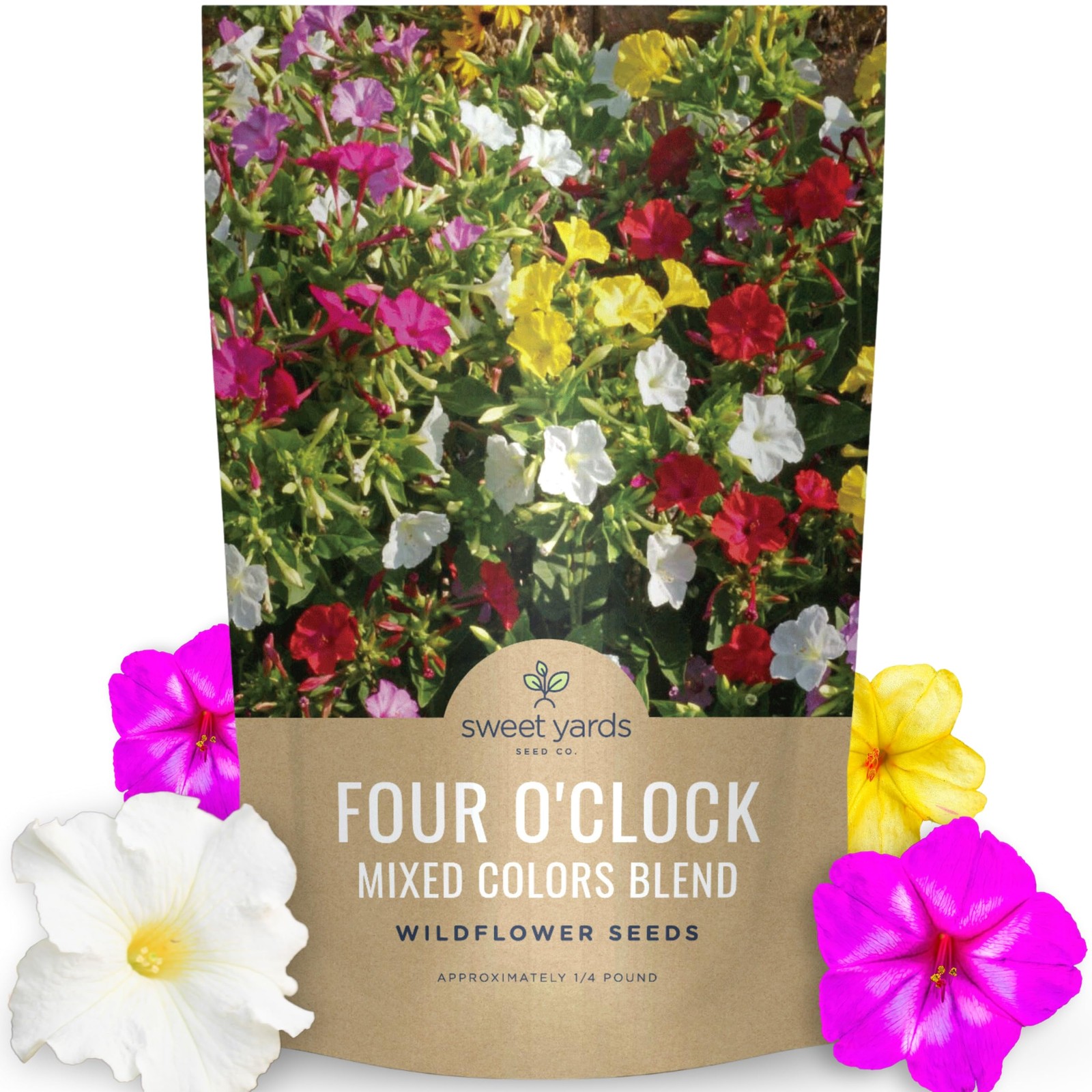 Four O’Clock Mixed Colors Blend – Bulk 1/4 Pound Pouch – 1,250 Flower Seeds f…