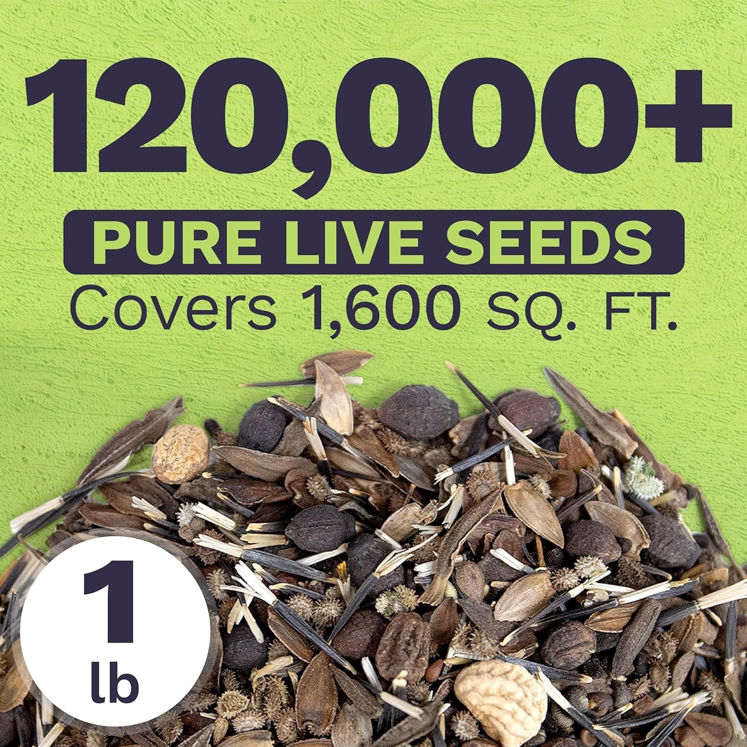 Bulk Wildflower Seeds – 1lb Bag, 23 Flower Species