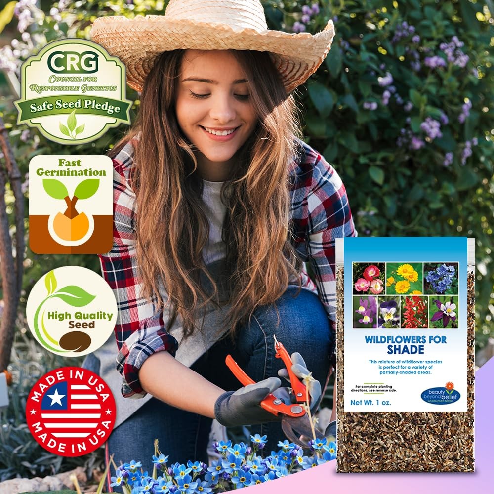 BBB Seed Partial Shade Wildflower Seeds 1 oz Packet, OpenPollinated Wildflow…