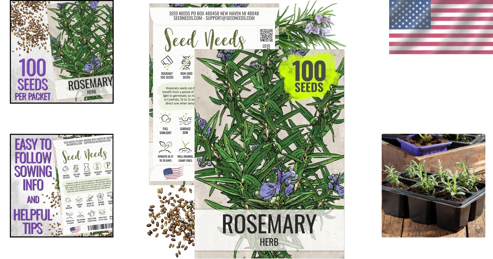 Fresh Rosemary Seeds – Non-GMO, Untreated, Ideal for Medicinal & Culinary Uses