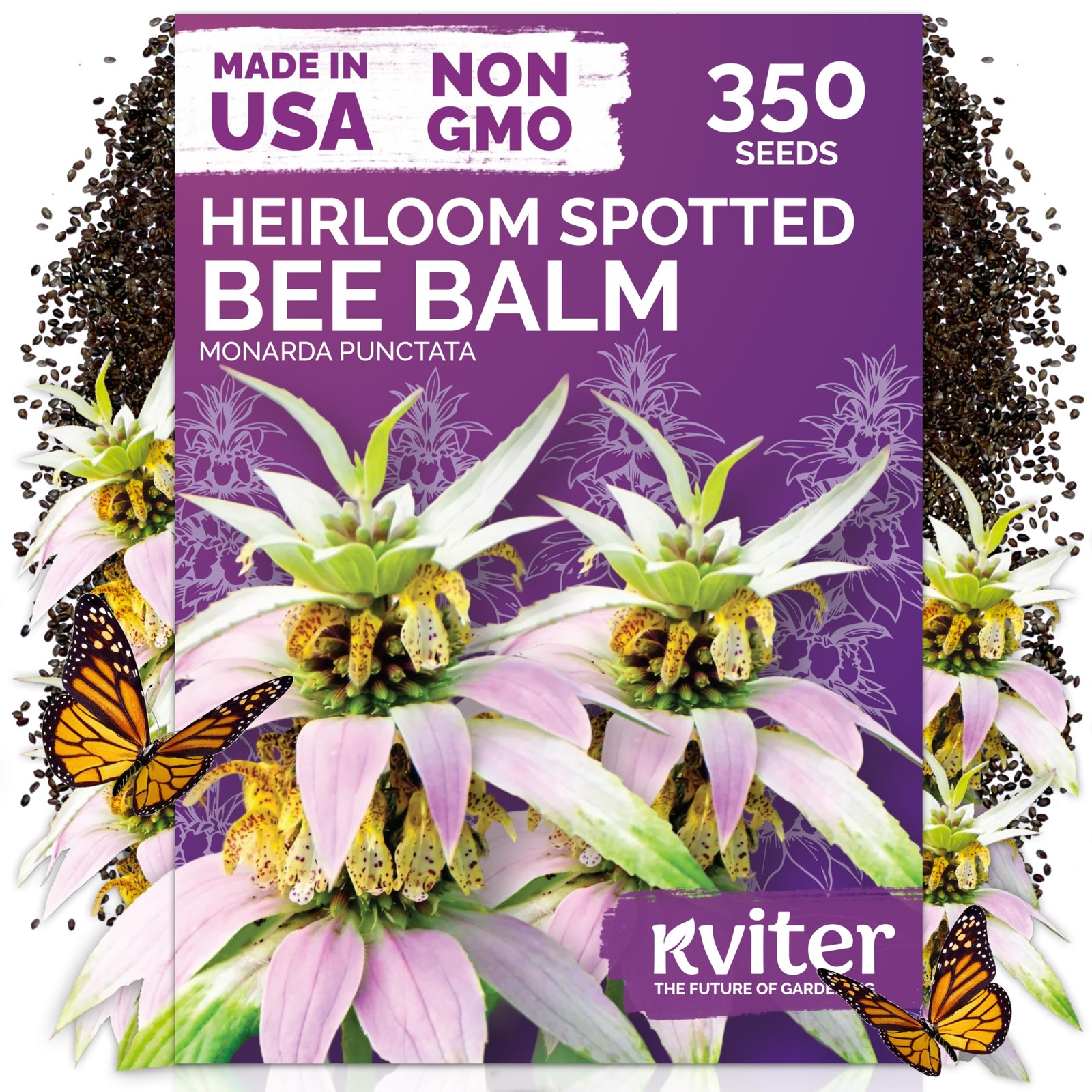 350 Spotted Bee Balm Seeds (Monarda Punctata) – Horsemint, Aromatic Oregano S…