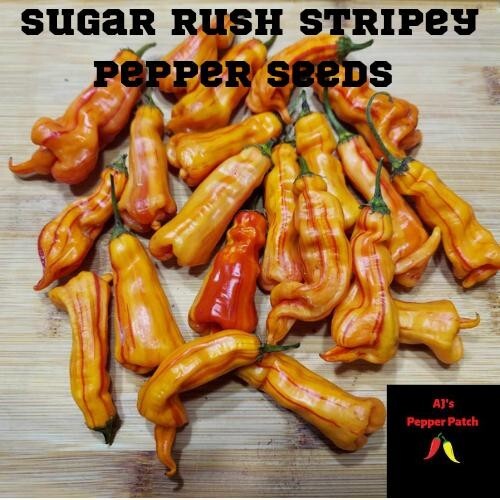 (12) Sugar Rush Stripey Pepper Seeds FREE SHIPPING!