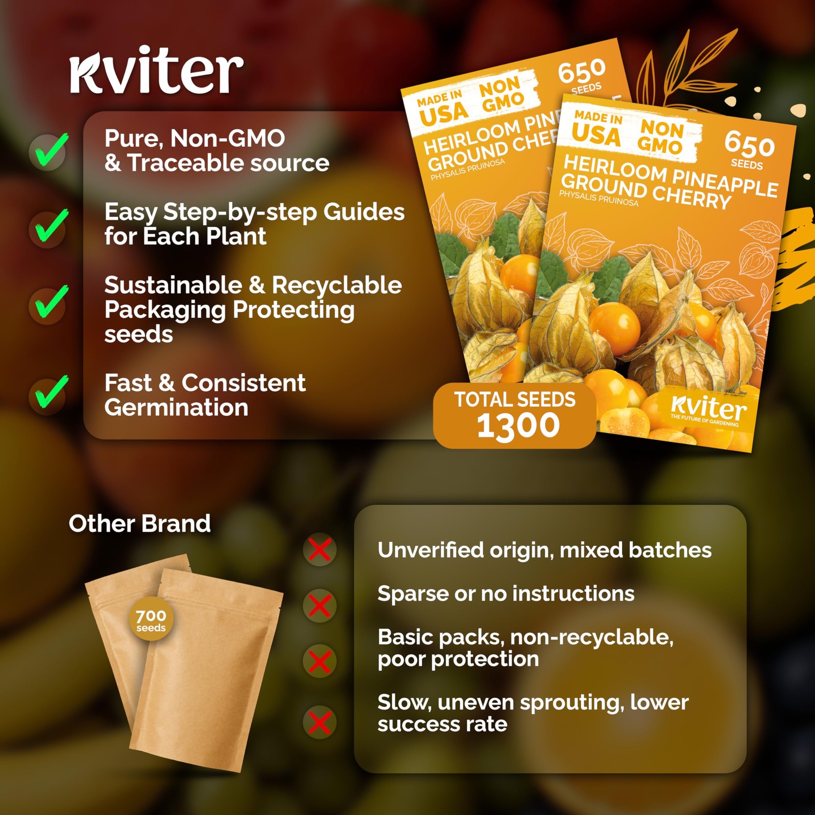 KVITER 1,300 Pineapple Ground Cherry (Physalis Pruinosa) Seeds, 2 Pack
