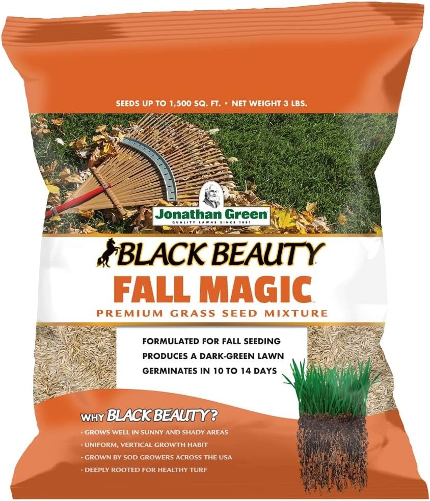 Dark Green Lawn Seed Mix – Cool Season – 3 lb