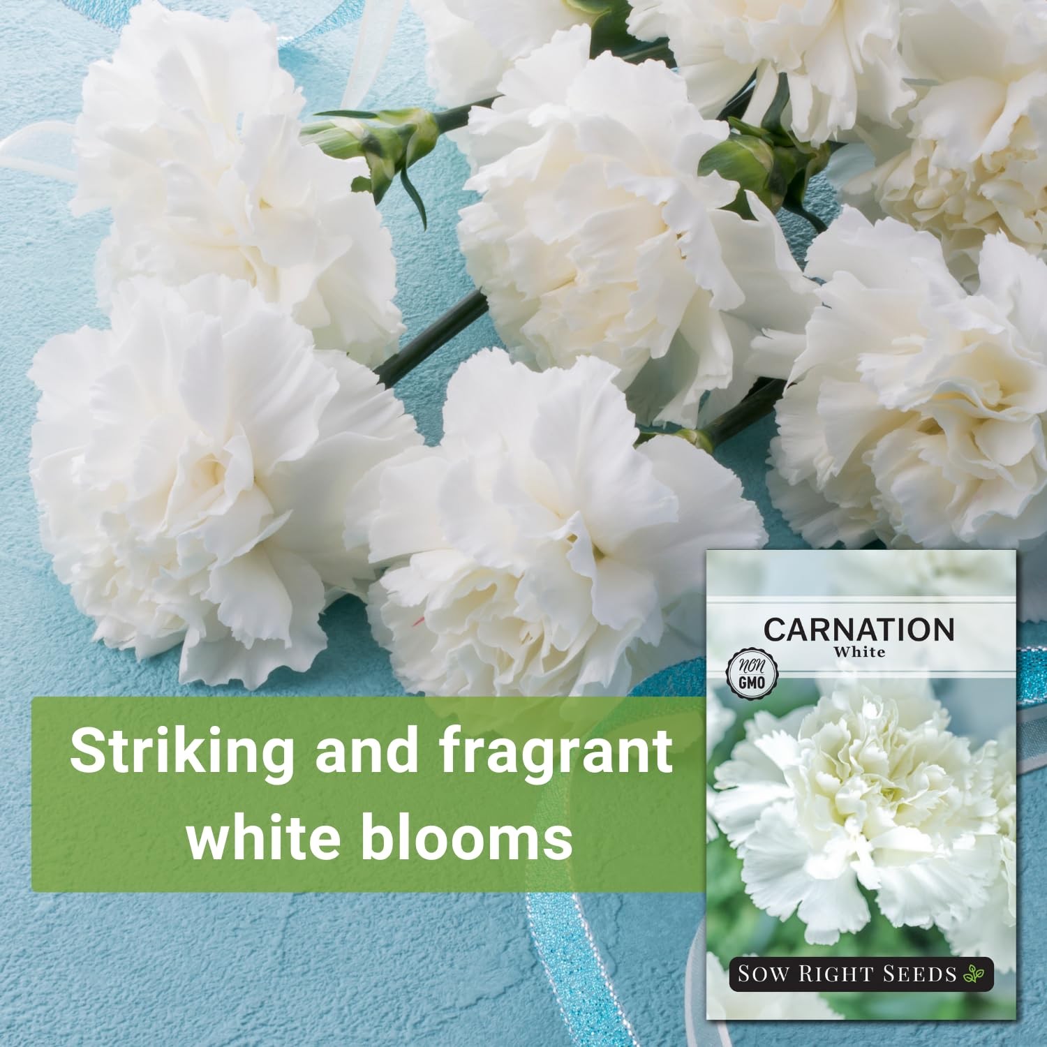 – White Carnation Seeds for Planting – Grow Beautiful Dianthus Blooms in Your…