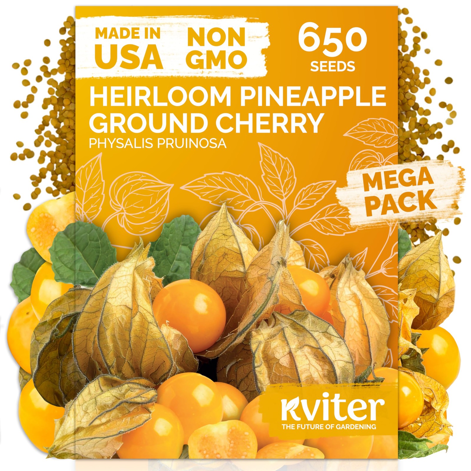 KVITER 650650 Pineapple Ground Cherry (Physalis Pruinosa) Seeds