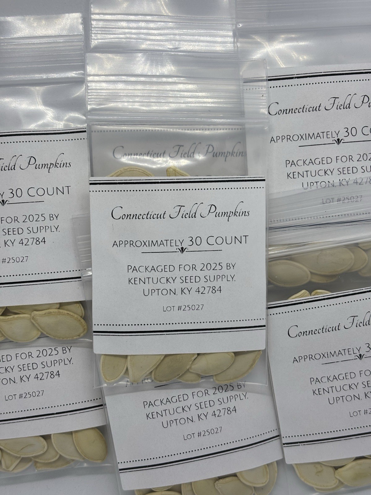 Connecticut Field Pumpkin Seeds-30 Count