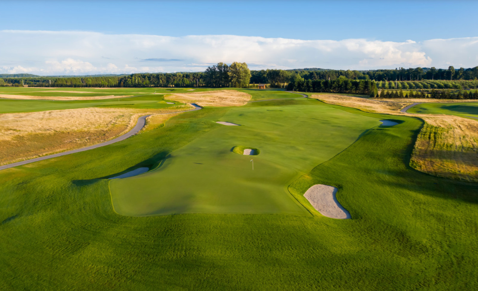 007 Creeping Bentgrass Seed 40,000 seeds