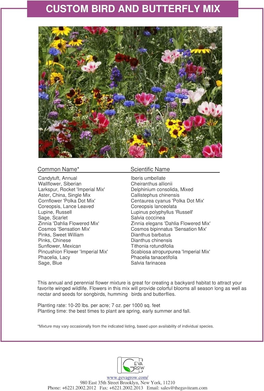 Transform Your Backyard – 1 Pound Bird & Butterfly Mix – Bulk Wildflower Seeds