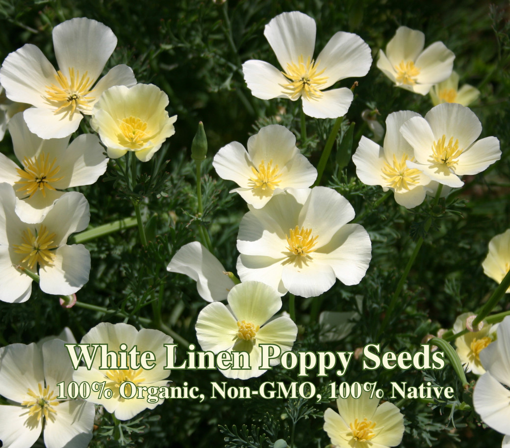 California Native Poppy Seed Mix